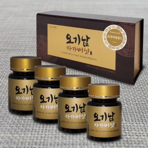 오기남차가버섯 프리미엄골드 100g 러시아 차가버섯 추출 분말 가루 차