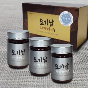 오기남차가버섯 클래식 추출 분말 가루 대용량, 100g, 3개