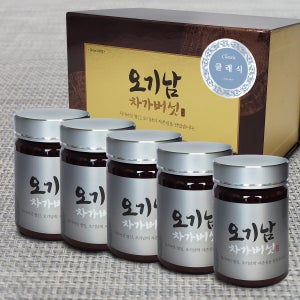 오기남차가버섯 클래식 추출 분말 가루 대용량, 100g, 5개