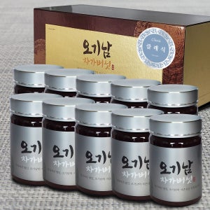 오기남차가버섯 클래식 추출 분말 가루 대용량, 100g, 10개