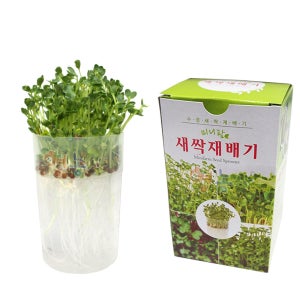 영농사 미니 새싹 재배기 수경재배