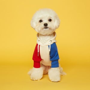 플로트펫 강아지옷 스탠다드 후드 티셔츠 레드블루 봄 가을 옷