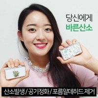 바른산소 산소발생기 자동차 차량용