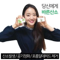 바른산소 산소발생기 가정용 사무실 휴대용 독서실