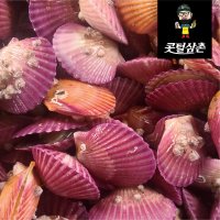 경남고성 제철 홍(단풍)가리비1kg