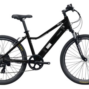 2017년형 알톤 전기자전거 니모