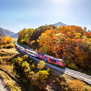 정선 5일장 뮤지컬 아리아라리 화암동굴 아리랑열차 당일 기차여행