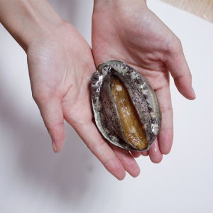 완도활전복 1kg 15-16미