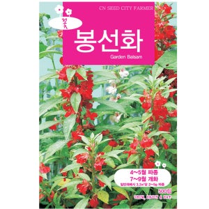 영농사 봉선화씨앗 중포장 500립 야생화씨