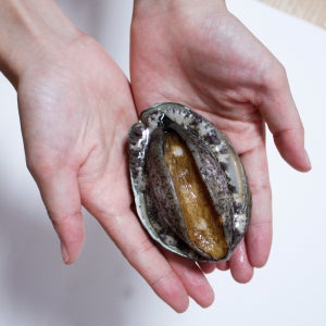 완도활전복 1kg 12-13미
