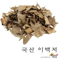 국산 이백저 [600g], 참가시나무잎 [약재파는청년들]