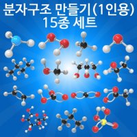 세트 초등 과학 키트 분자 구조 만들기 1인용 15종