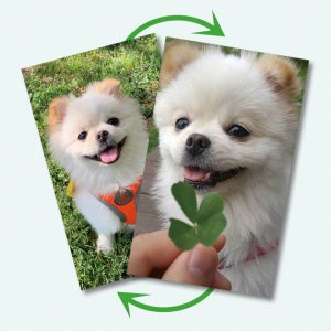 렌티큘러 나눔 포토카드 10매-30매 팟칭포카 소량제작 (사이즈 변경가능)