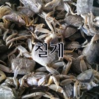 칠게 3kg 장 튀김 볶음 등 건강식 산지직송 미니 게 튀김