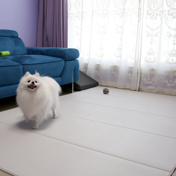 체리펫 강아지매트 220x110cm 거실 복도 바닥 미끄럼방지 방수 애견 펫 매트