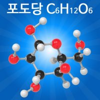 실험 상자 과학 키트 분자 구조 만들기 포도당 초등