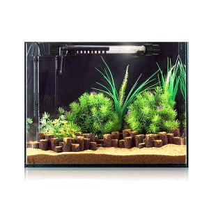 나무 숲 속 구피세트 (대)