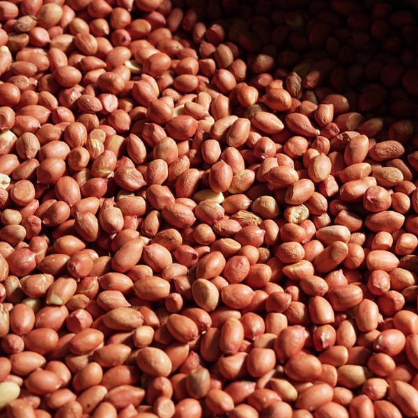 제주 우도땅콩 국산 볶음땅콩 우도 햇땅콩 150g 200g