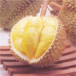 냉동통 두리안 5kg-6kg / 잘익은과육만담은 깐두리안 2250g(450gx5팩)