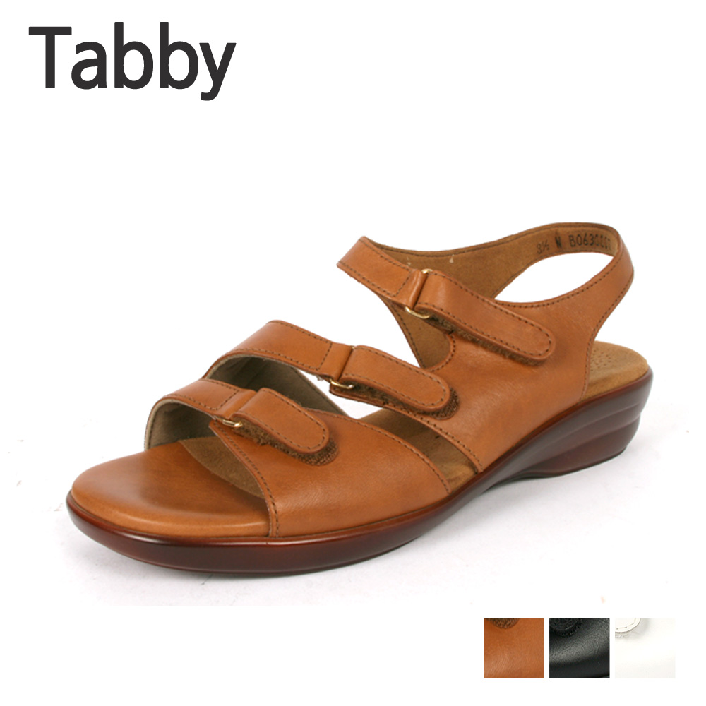 사스SAS 테비 tabby 미국직수입 효도화