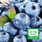 2018년 국내산 유기농  블루베리 생과 1kg 대과!
