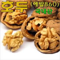 햇호두-알호두(피호두) 판매(국내산)