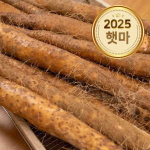 태산농장 2025햇마 참마 장마 5kg 알뜰 중품 상품