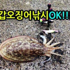 남해산업사 연화도 802ML 문어 무늬 802UL 풀치 볼락 쏘가리 꺽지 앵글러추천제품 국내생산