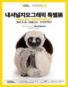 내셔널지오그래픽 이미지