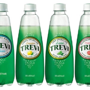 트레비(플레인 라임 레몬 자몽) 300ml x 20펫