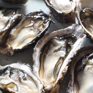 통영 석화 각굴 하프셀 반각굴 제철 세척