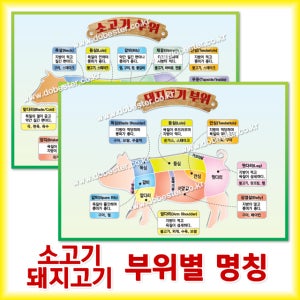 01 소고기 돼지고기 정육부위별명칭