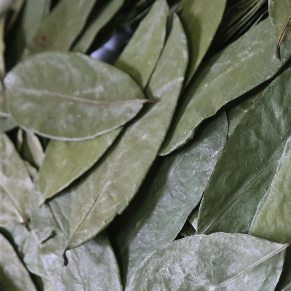 약초나라 <b>그라비올라</b> 건재 1kg 2kg