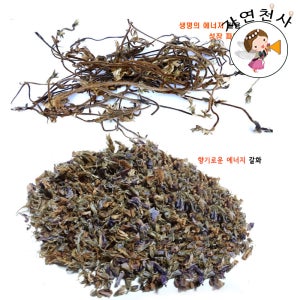 야생 직접채취 손질 칡꽃 칡순 갈용 갈화 깨끗한 손질