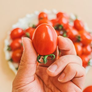 방울토마토 최저가 가성비상품