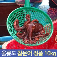 울릉도참문어 배타고 잡아온 울릉도 살아있는 자연산 참문어 이바지용 10kg