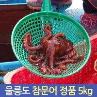 울릉도참문어 배타고 잡아온 울릉도 살아있는 자연산 참문어 이바지용 5kg