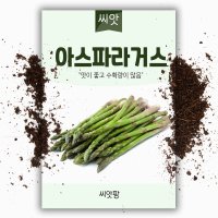 아틸란틱 아스파라거스 씨앗 40립 채소 이색 서양채소 종자