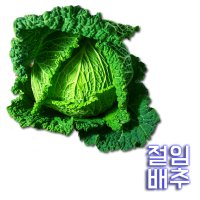 절임 절인 배추 김치 20kg 국낸제조(haccp) 최적의간절임