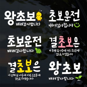 초보운전 스티커 친절한 겸손한 배려감사합니다 왕초보 초보 스티커 308 스몰