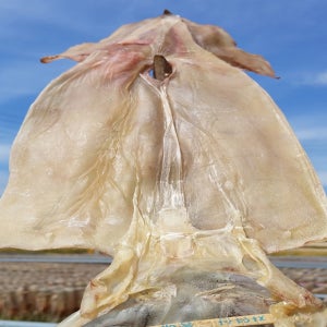 동해안 마른 오징어 2.0 kg 한축