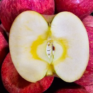 사과 청송 부사 꿀사과 햇 5kg 10kg 산지직송