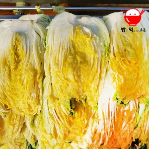 고랭지 괴산절임배추 20kg 김장배추 절인배추