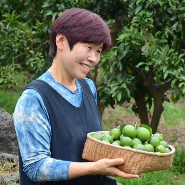 제주 청귤 풋귤 3kg 5kg 10kg 농약 안전성 검사 통과 완료 제주새별농장