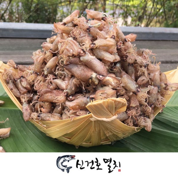 직접생산 햇 꼴뚜기 (건 마른 말린 반건조 먹 꼴두기) 1.5kg 1kg 500g 300g