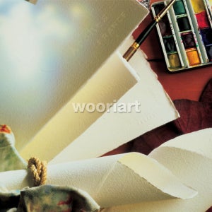 캔손 아르쉬 수채화지 전지 356g 65cmx102cm 10매1포