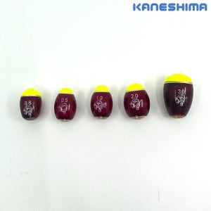 가네시마 흑단 수중찌 바다구멍찌