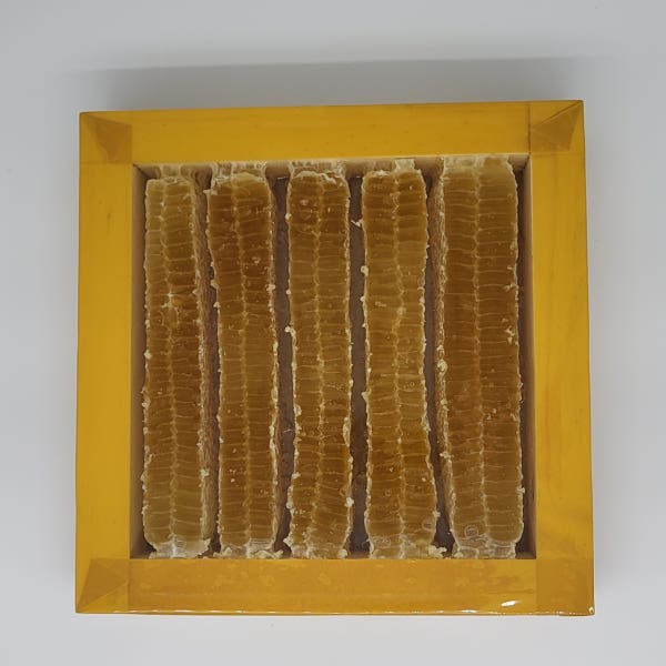 지리산 벌꿀집 뱀사골토종꿀 숙성꿀 업소용 벌집꿀 2kg (생산자 산지직송)
