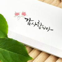 화이트모란감사봉투, 감사봉투 + 카드 + 스티커set 50매 , 결혼감사봉투, 감사카드, 답례봉투, 담향