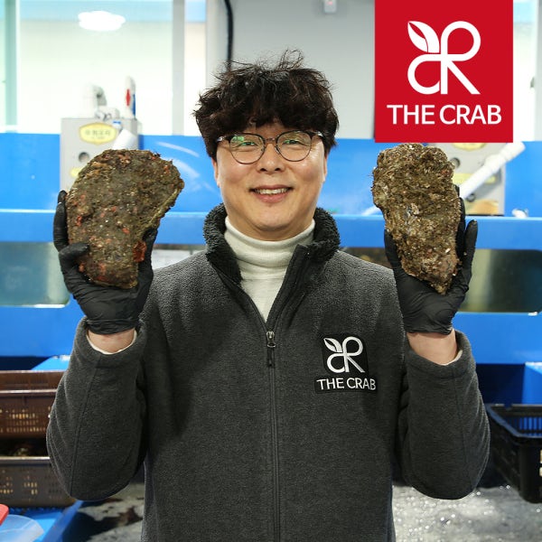 제철 굴 석화 5kg 10kg 통영 여수 각굴 석굴 삼배체 바위굴 벚굴 하프셀